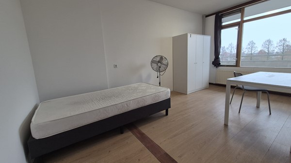 PHOTO-2026-03-10-17-05-42 (1).jpg